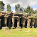 Inmobiliarias en Flores