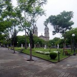 Inmobiliarias en Treinta y Tres