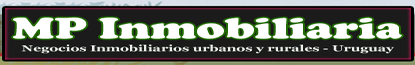 MP INMOBILIARIA