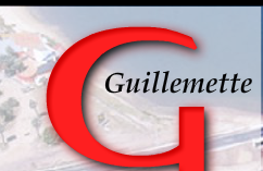 Guillemette Opciones Inmobiliarias